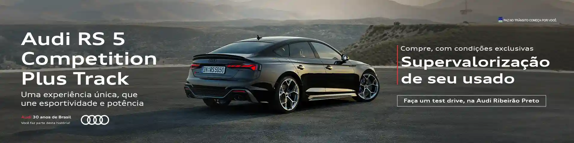 Audi RS5 COMPETITION
